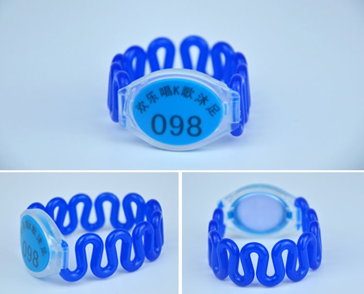 Waterproof and Dustproof RFID Wrsitband Key Blue