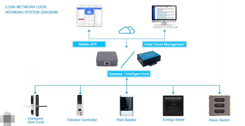 Lora Smart door lock work guide