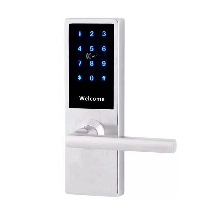 304 SUS Commercial WIFI Door Lock FJ-2S-L