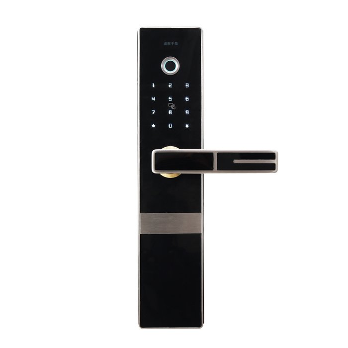 304 SUS Smart Home Door Lock
