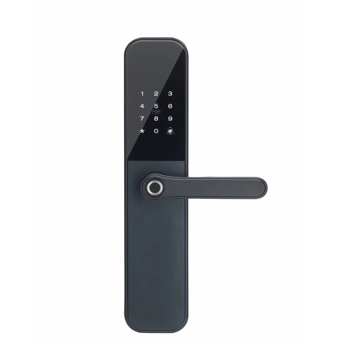 Black Hot Sale Competitive Smart Home Door Lock