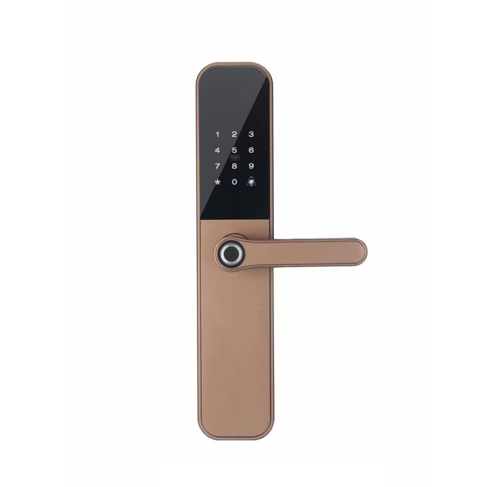 Gold Hot Sale Competitive Smart Door Lock For Home