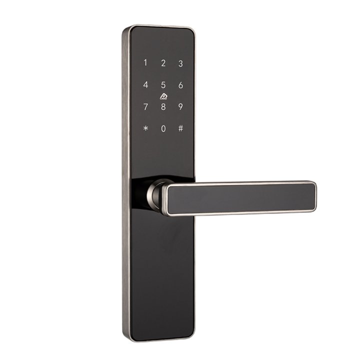 Stainless Steel Commercial WIFI Door Lock FJ-1S-L