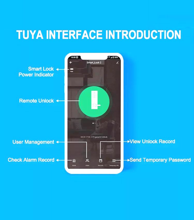 Tuya Smart Lock Interface