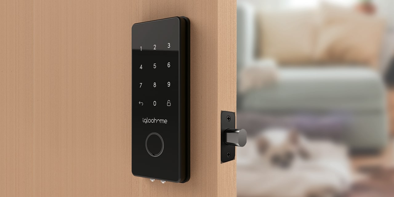 Top 20 Smart Lock Companies-IGLOOHOME